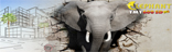 banner4