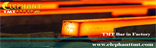 banner6